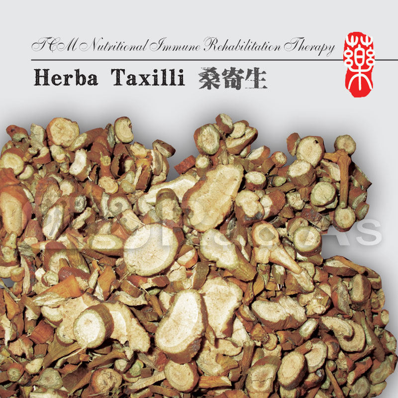 Herba Taxilli