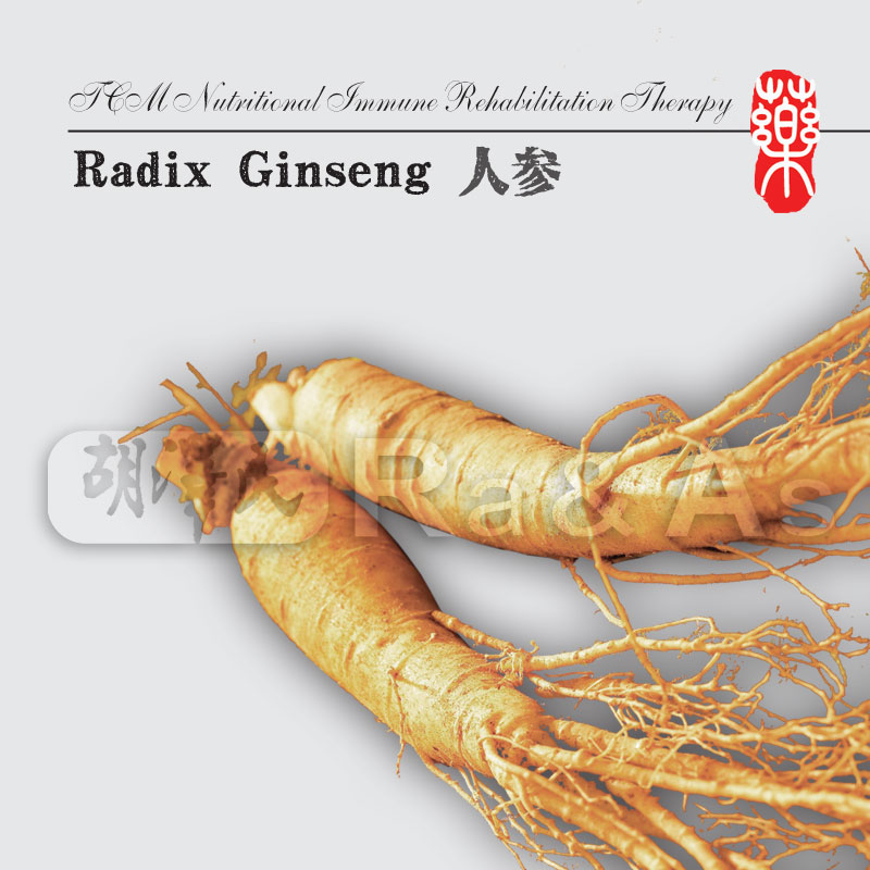 Radix Ginseng