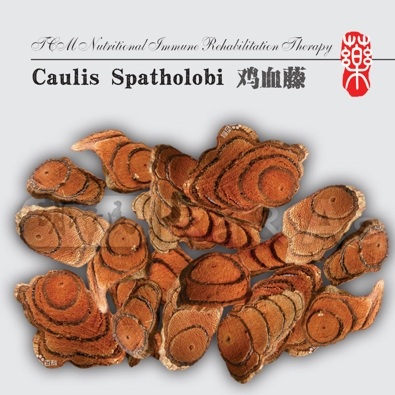 Caulis Spatholobi