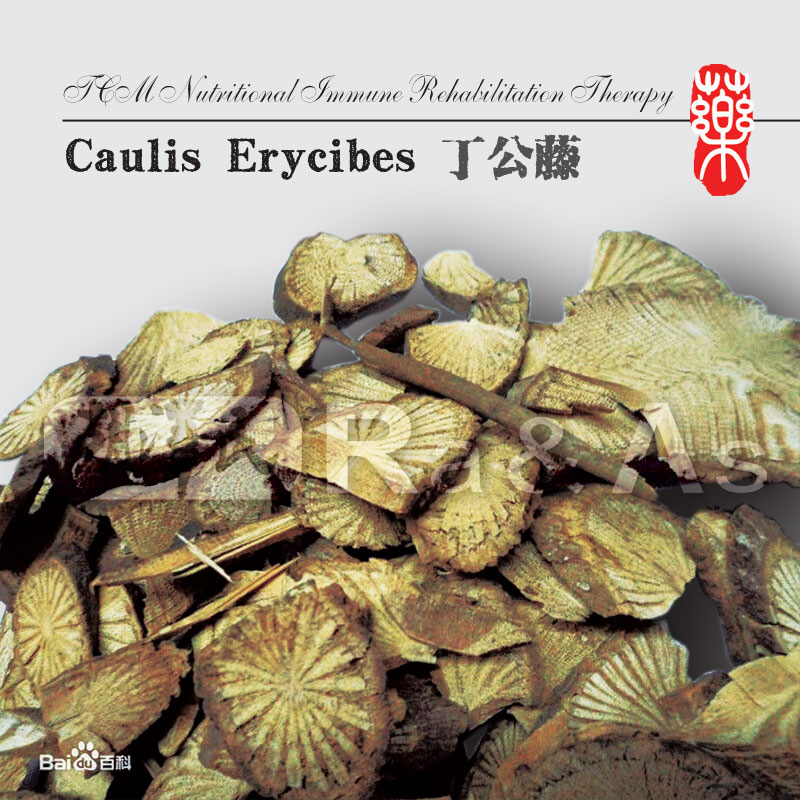 Caulis Erycibes